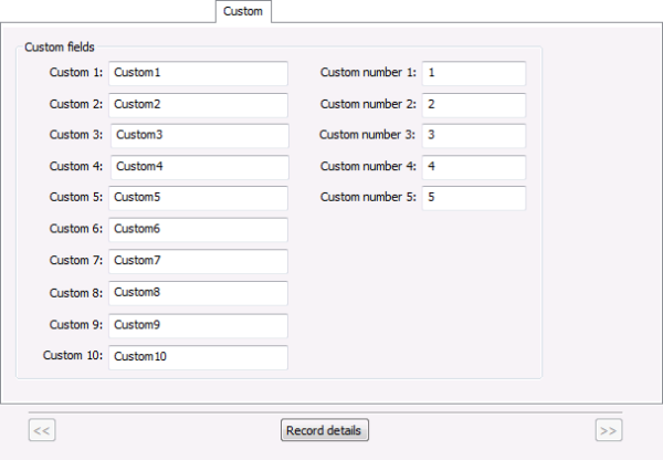 Custom Property Page